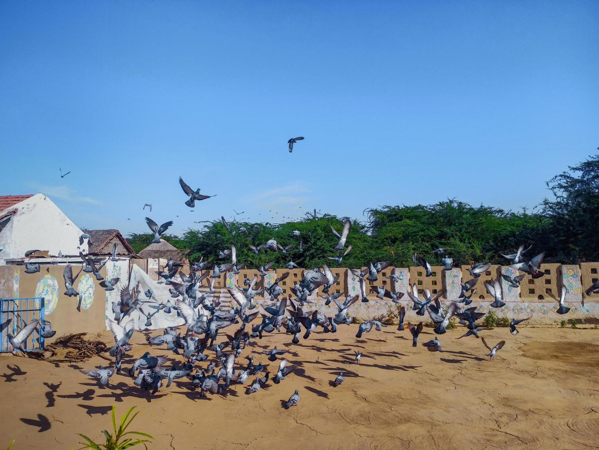 White Land Villagestay Dhordo Ngoại thất bức ảnh